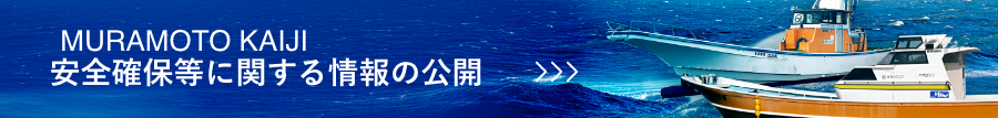 安全確保等に関する情報の公開